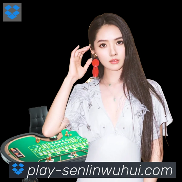 互动解说服务